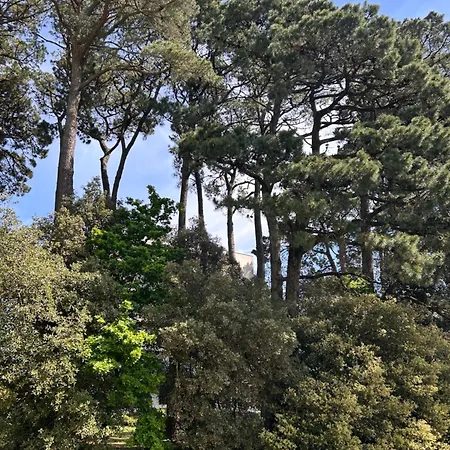 à Avec Balcon, à Proximité Appartement Pornic