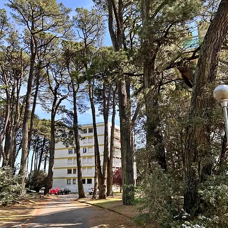 à Avec Balcon, à Proximité * Pornic